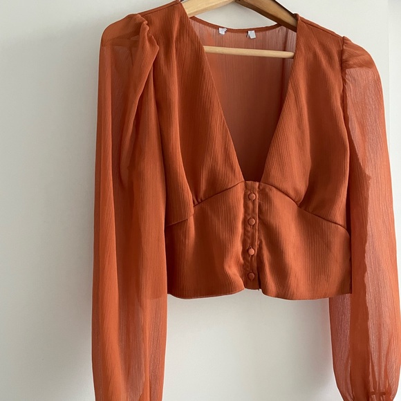 Sheer Long Sleeve Crop Top - Picture 2 of 6